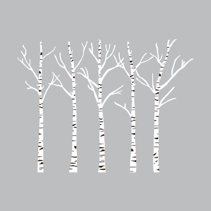 Ствол березы для аппликации