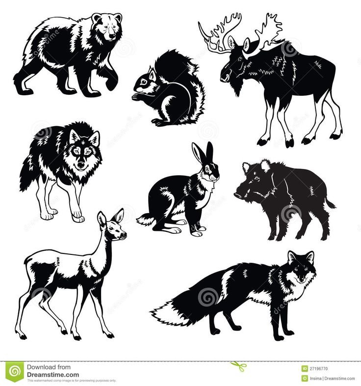 Стилизованные силуэты животных