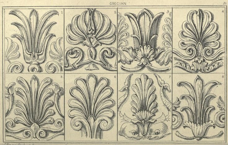 Орнамент рококо Акант