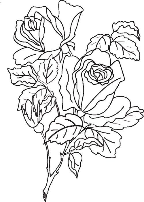Раскраски цветы красивые