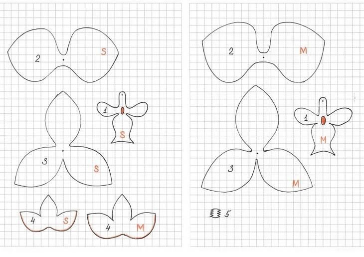 Орхидея фаленопсис из фоамирана шаблоны