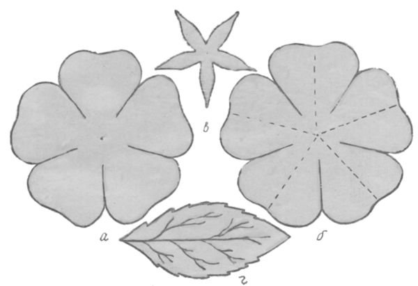 Выкройки цветов