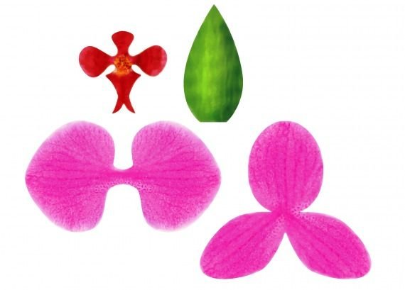 Трафарет орхидеи из фоамирана