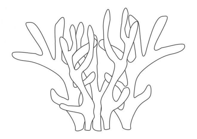 Кораллы трафарет