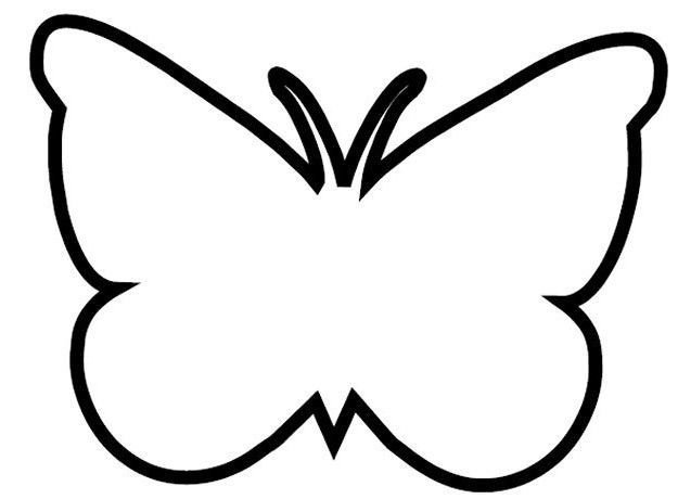 Шаблон бабочки