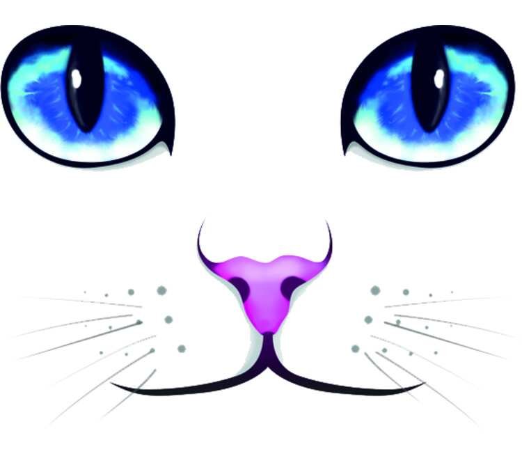 Котик с глазками