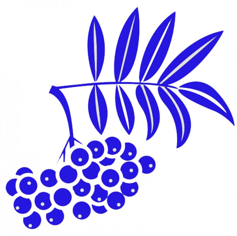 Рябина для вырезания