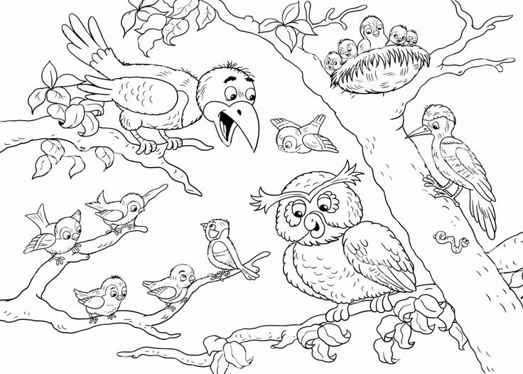 Лесные животные раскраска для детей