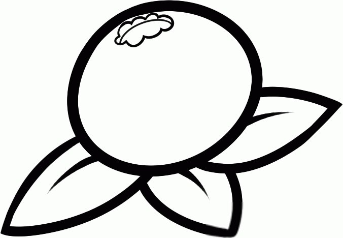 Раскраска ягоды черника