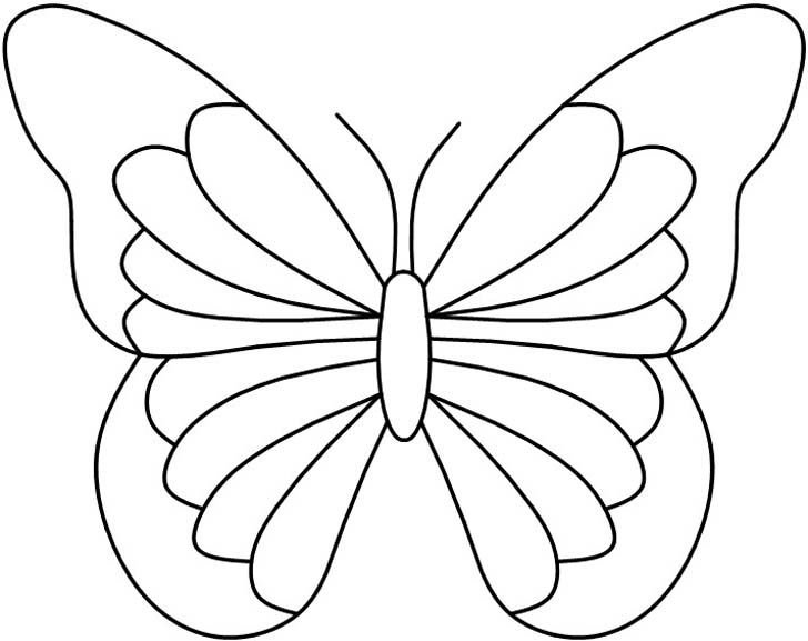 Шаблон бабочки