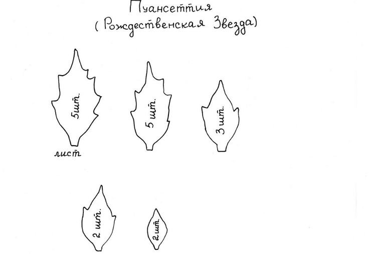 Пуансеттия из фоамирана выкройка