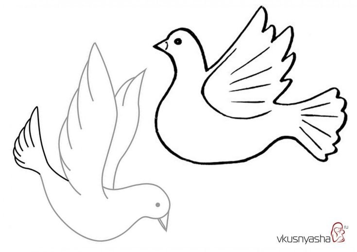 Голубь шаблон