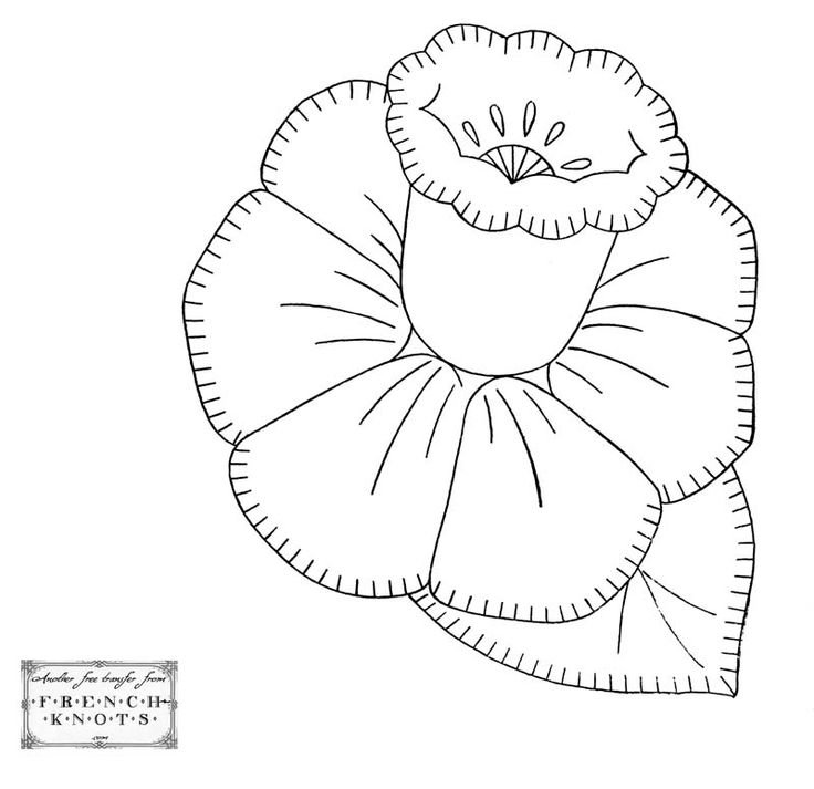 Цветы шаблон для аппликации