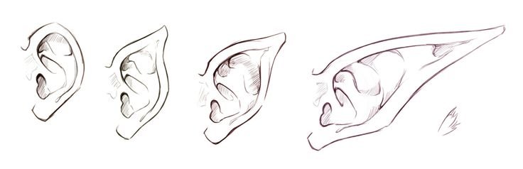 Эльфийские уши референсы