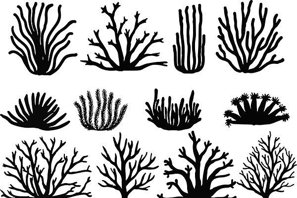 Водоросли силуэт