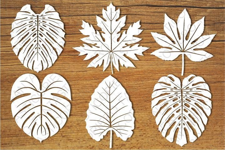 Трафареты экзотических листьев