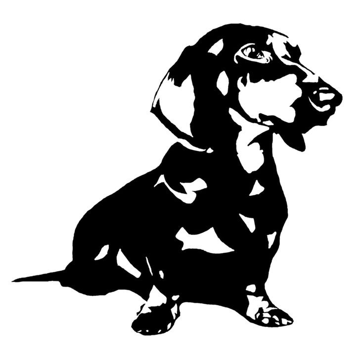 Такса стилизация