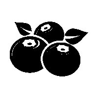 Черника векторное изображение