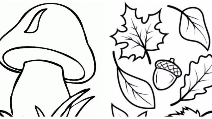 Трафареты грибов для рисования