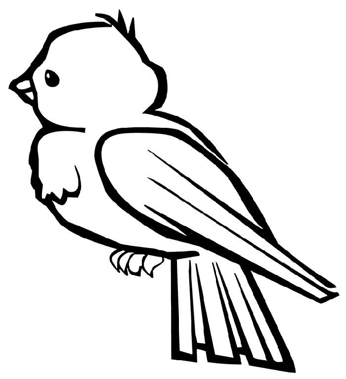 Птичка раскраска для детей
