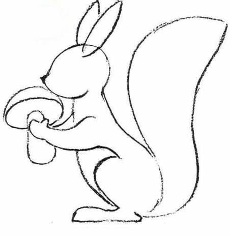 Белка раскраска для детей