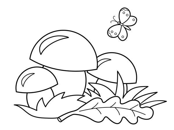 Грибы раскраска для детей