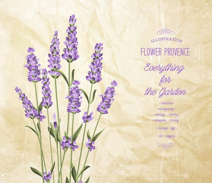 Узор Прованс