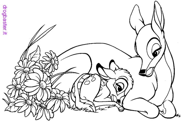 Разукрашки для девочек животные