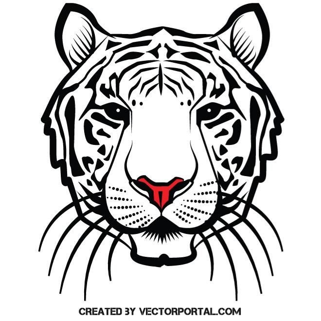 Голова тигра контурный рисунок