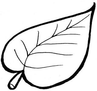 Листья раскраска