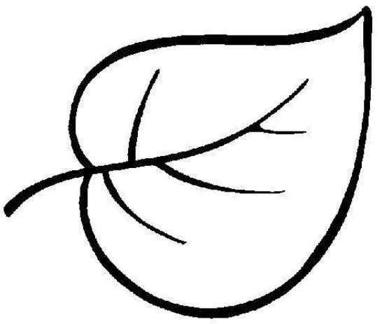 Трафареты "листья"