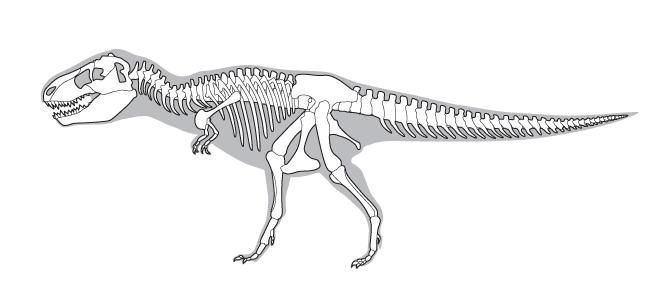 Тарбозавр скелет