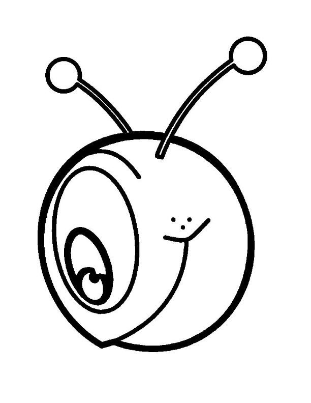 Голова гусеницы