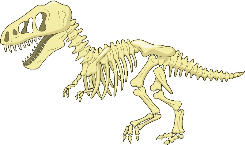 Скелет динозавра рисунок для детей