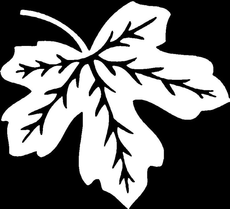 Вытынанки листики осенние