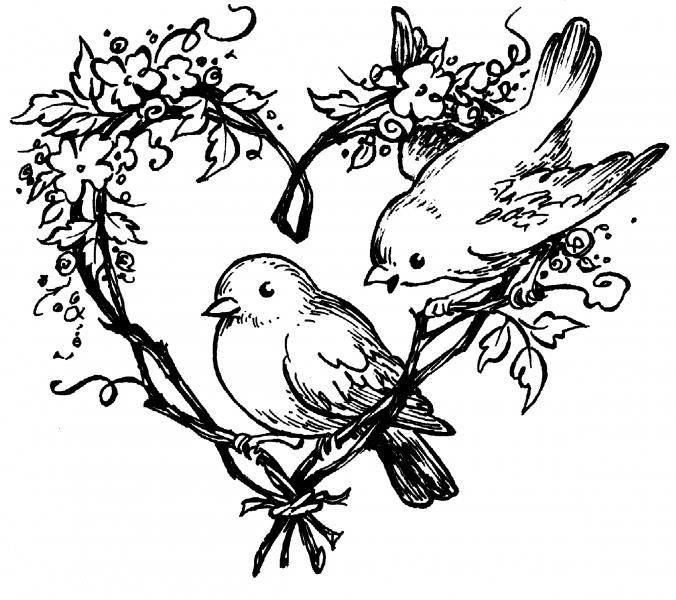 Трафареты для выжигания по дереву птицы
