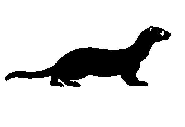 Норка силуэт