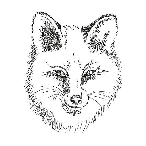 Морда лисы для детей