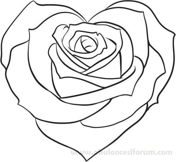 Роза для срисовки легкие