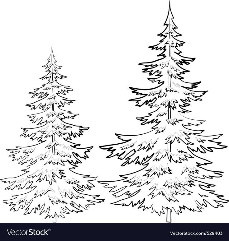 Ель раскраска