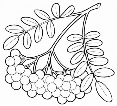 Осенняя раскраска