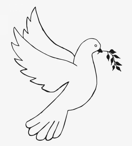 Голубь рисунок