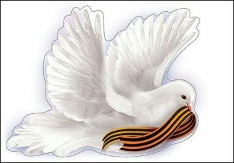 Голуби на 9 мая