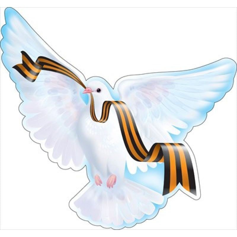 Голубь мира к 9 мая