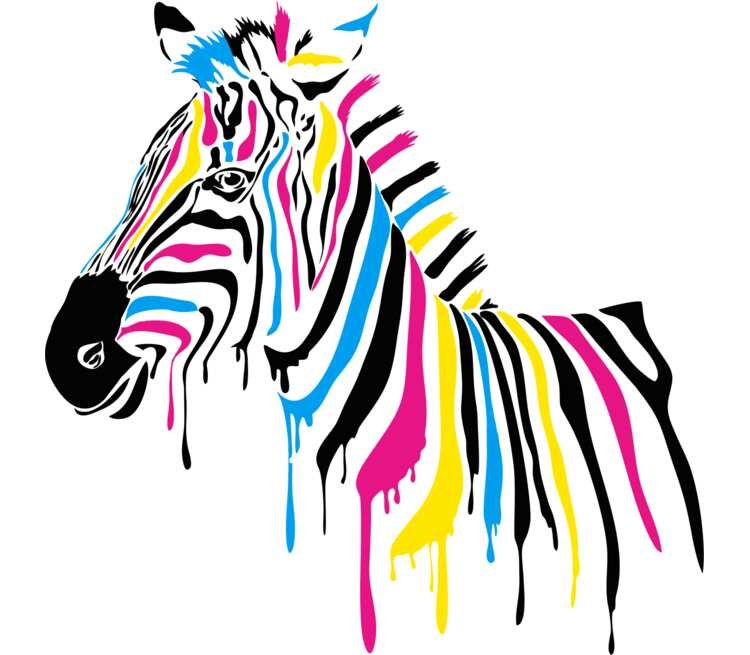 Разноцветная Зебра