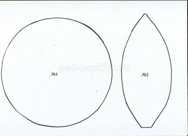 Лепестки Цветика семицветика шаблон