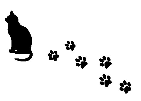 Следы кошки