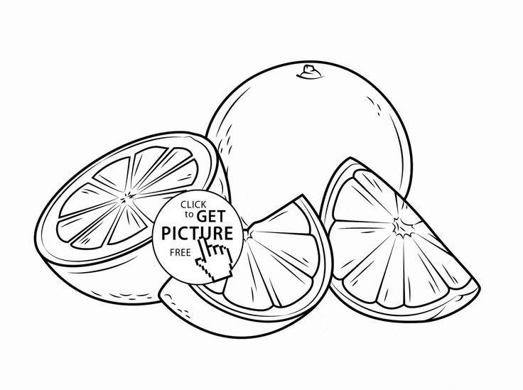 Апельсин раскраска для детей