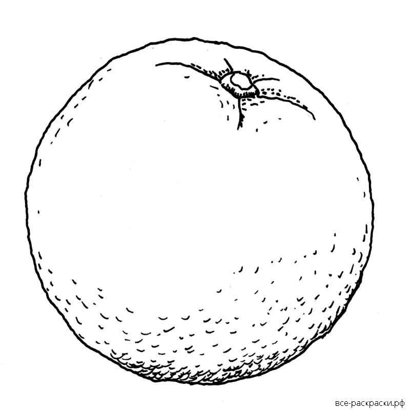 Апельсин раскраска