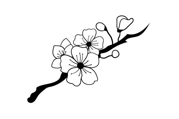 Веточка Сакуры